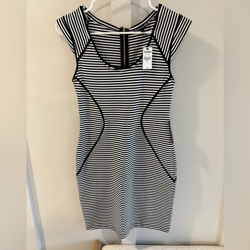 Express bodycon striped dress